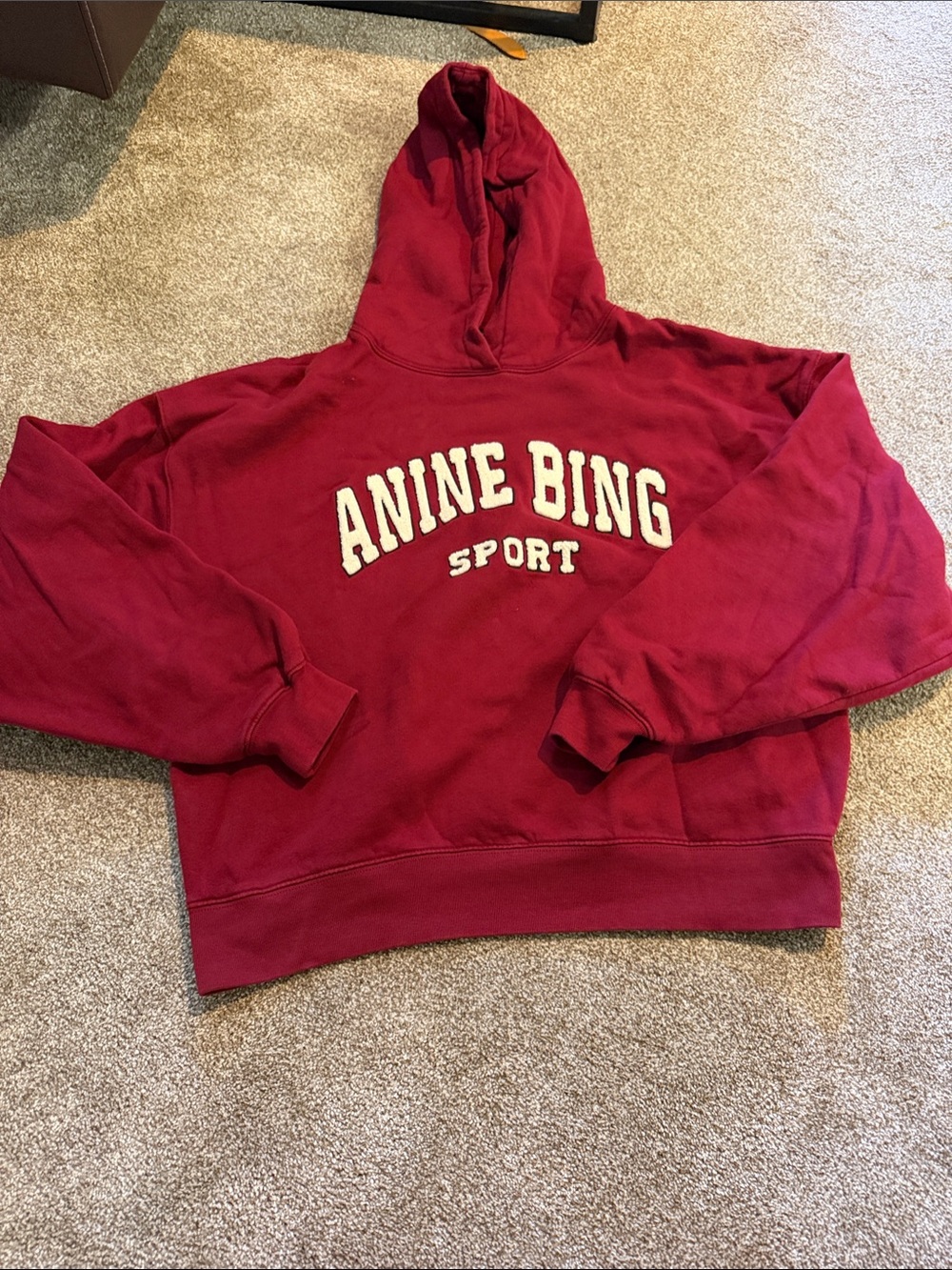 Anine Bing Sport  Hoodie size xs